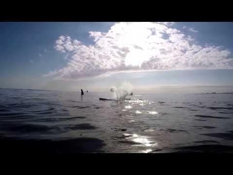 Winter Vibes @ NSB Inlet - Firewire Tomo Evo