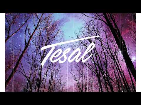 Tesal Feat. Robbie Rosen - Night Sky (Official Audio)