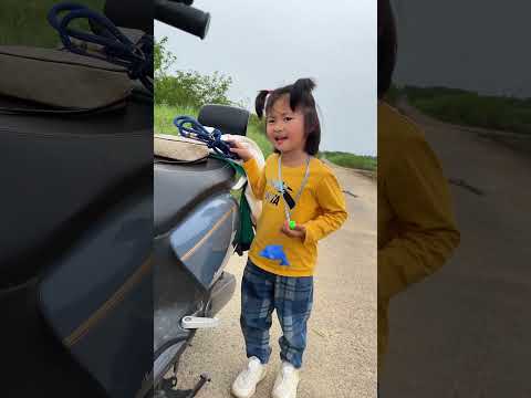 主人掉入下水道中，狗狗勇敢营救！ #宇美北 #funny #shortfilm #pets #animals#dogshorts #搞笑 #寵物友善日常 #戏精大哈  #狗訓練