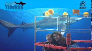 DIA 2 Expo Tiburon19