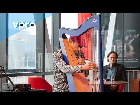 Edmar Castaneda - Interview (Live @Bimhuis Amsterdam)