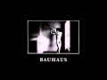 Bauhaus - In the Flat Field [1980]