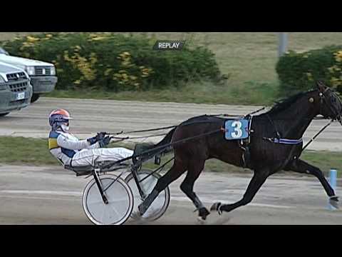 Aversa trotto 18 Gennaio 2020 - 4° Corsa