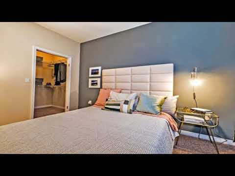 1 Bedroom Apartment for Rent in Lawrence, MA