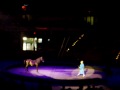 Ringling Bros And Barnum Bailey Circus The Greatest Show On Earth