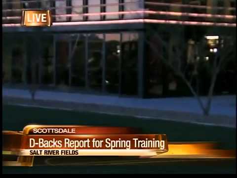 Diamondbacks report to spring training