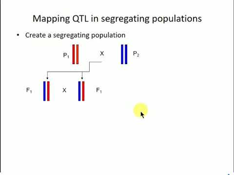 Forward and Reverse Genetics - eQTL