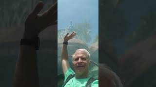 Is it reflection or Lisa's up on the Water sea through balcony? : Virgin Voyages Valiant Lady Review