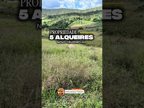 EXCELENTE PROPRIEDADE 5 ALQUEIRES NOVO CRUZEIRO-MG R$ 450 MIL #luxo #agro #rural #roça #sitio #lazer