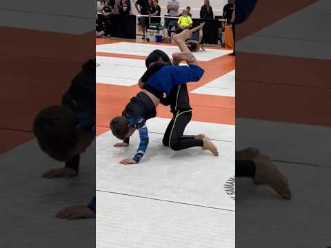 BJJ Highlights #sweetlew #ufc #fight #bjj #shorts