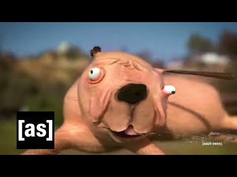 Adult Swim Animated The Most Disturbing Dog In Existence