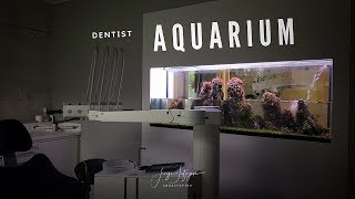 DENTIST AQUARIUM - My weekly MAINTENANCE routine!