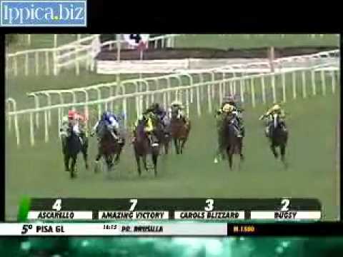 02/02/2014, Pisa , Premio Drusilla