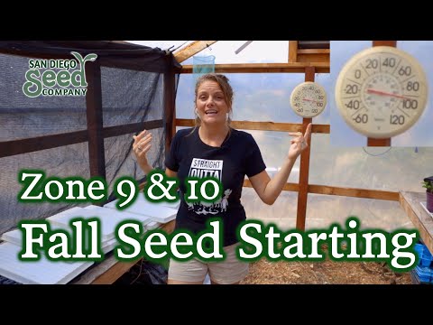 Everything You Need to Know About Starting Fall Seeds for Zone 9 & 10