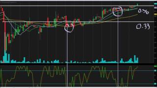 $ELTP -Elite Pharmaceuticals, Inc - Independent Analysis 7/11/16