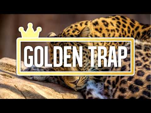 Stereoliez  x PU666Y - Wildstyle (TRAP VIP)