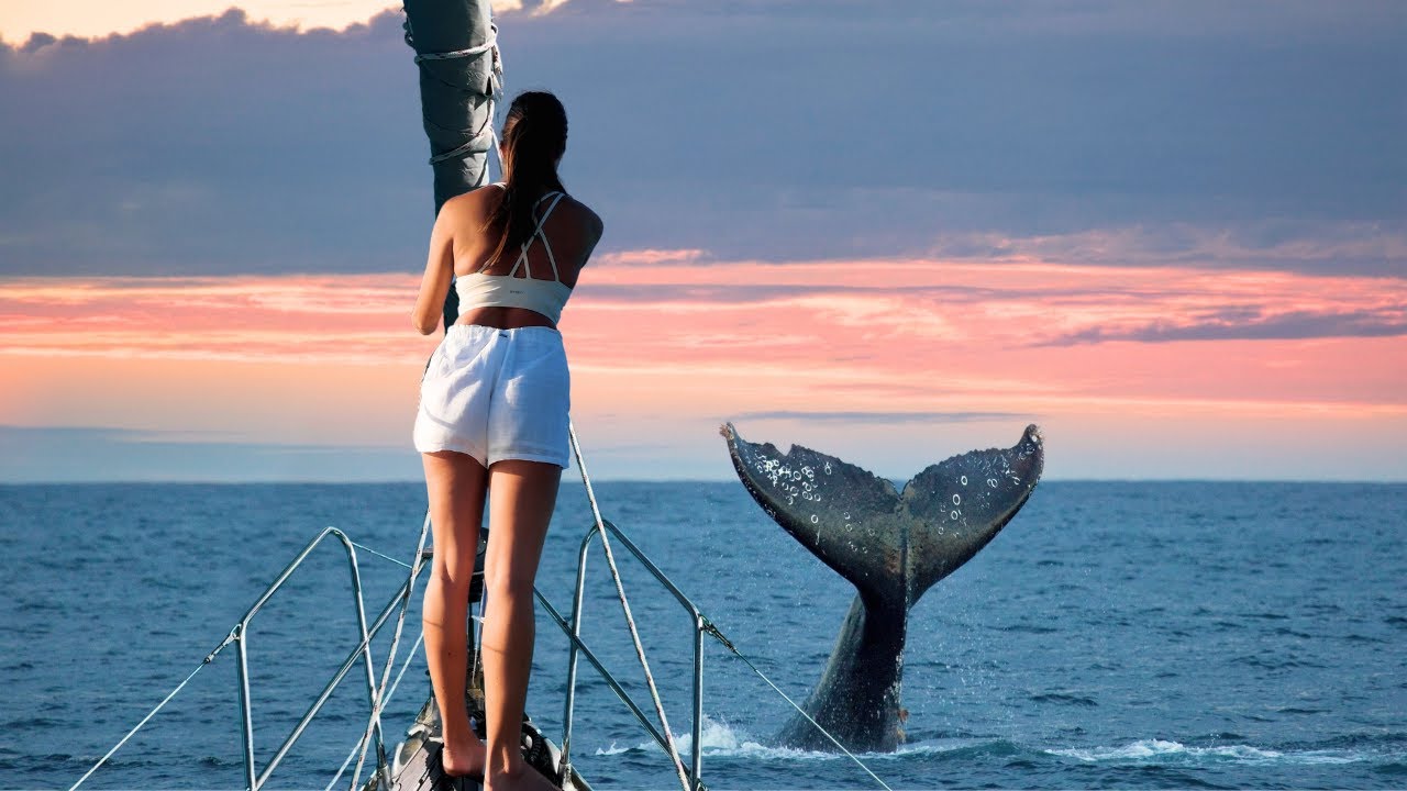 SAILING THE SPANISH VIRGIN ISLANDS - WHALES OFF THE BOW + BIOLUMINESCENT BAY! 🐋✨ EP-172