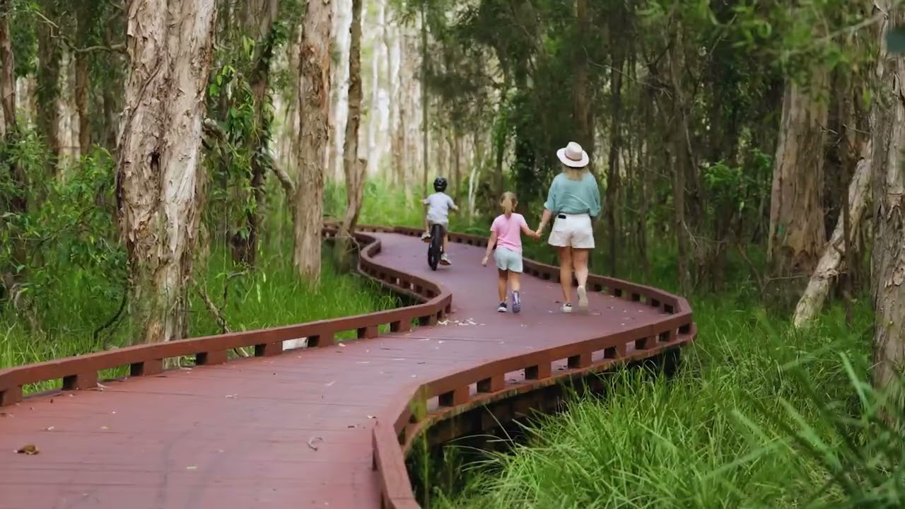 Discover a captivating peek of Coombabah Lakelands Conservation Area.