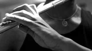 Promo clip for the tour of Magic Malik Orchestra in Montenegro, September 2013.