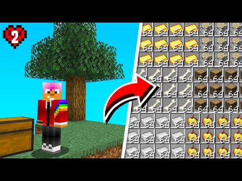 Getting Everything I Need in Hardcore Skyblock #2