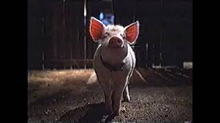Pub Québec - Film "Babe, un cochon dans la ville" (1998)