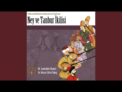 Nikriz Saz Semâîsi