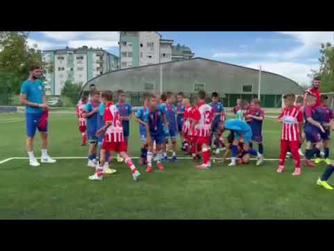 Video-Miniaturansicht