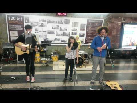 Ginners Fusion - ginners fusion - houby