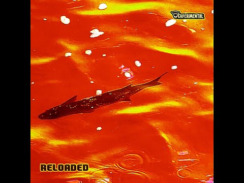 Youtube Video 6KyGgO5-Hb4