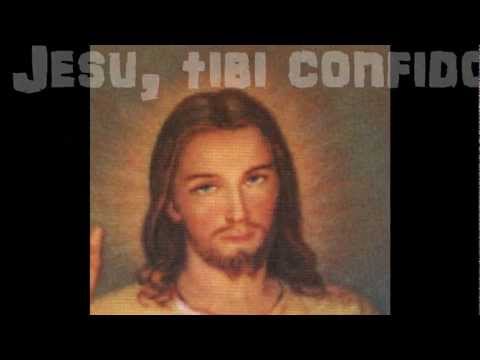 JEZUS - Ks.Stefan Ceberek