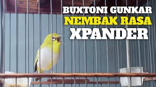 Download lagu Pleci Buxtoni gunkar Nembak XPANDER milik Om Manto... mp3