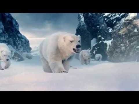 Motion Graphics & Visual Effects