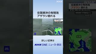 佐賀県沖の有明海 アザラシ現れる | NHK | #shorts
