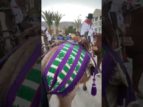 Entradas de caballos de paso y motos en honor a la Satísima Virgen de las Mercedes - Candarave 2026