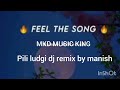Pili Ludgi Dj Remix Slowed Song