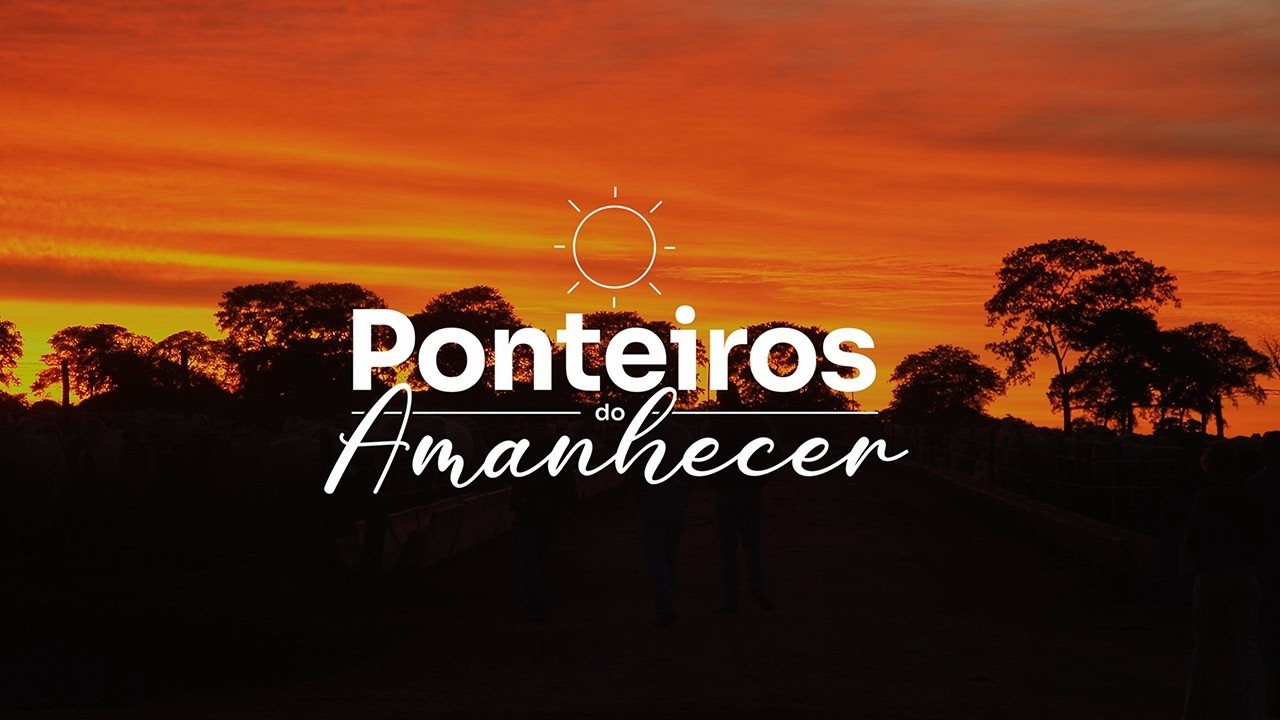 Ponteiros do Amanhecer