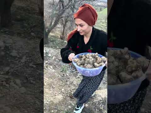 We went to my aunt's today.