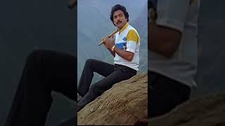 Download lagu Malaiyoram veesum katru Song in tamil\\paadu nilave Movie mp3