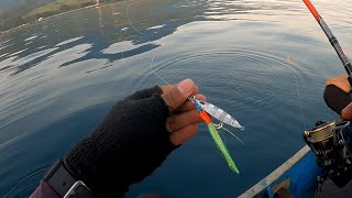 Download lagu Silver Koika - Repeatedly Struck by Fish || Ultralight Jigging #relixnusantara mp3