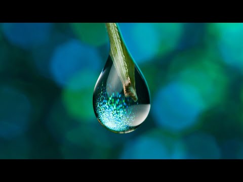 Water Drop Sound Effect | 3D Sound Effects | splash to drips | Link In Description 👇
