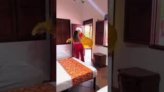 FINAL EPICO! 😜 Videos de risas! Si te ries pierdes!🤣 #shorts #tiktok