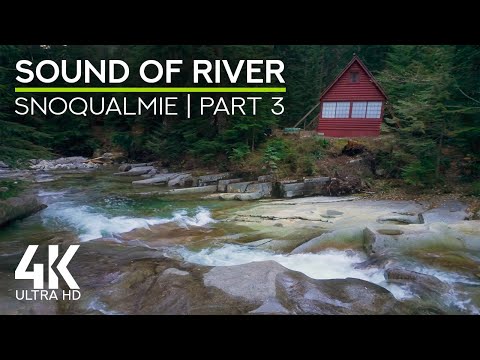 Sonidos calmantes de Forest River y canciones de pájaros, río Snoqualmie - 4K UHD