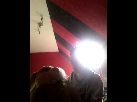 Question-Reponse ( ventriloque-Harry)