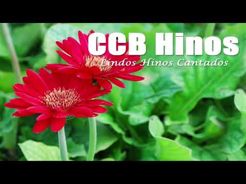 CCB Lindos Hinos Cantados   221, 41, 01, 42, 02, 320, 131, 44, 190, 361, 190, 09, 376, 45, 84, 203