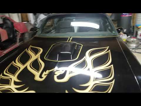 My Bandit Trans Am replica