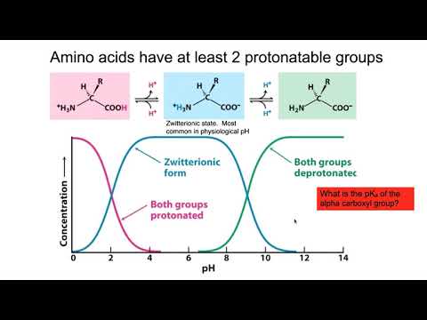 Titration curves, pKa, pI, and Buffering regions