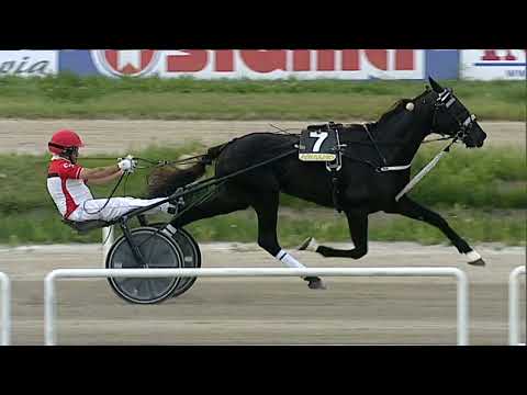 Napoli Trotto 01/06/2023 - 8ª corsa - TRIS