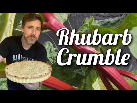 How to make rhubarb tart | Rhubarb Crumble Recipe