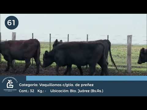 Lote Vq CGP - Bto Juárez Bs As