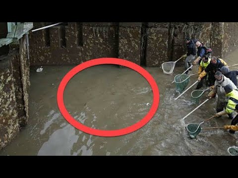 When Authorities Drained This 200 Year Old Canal, What They Found At The Bottom Was Extraordinary